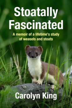 Stoatally Fascinated