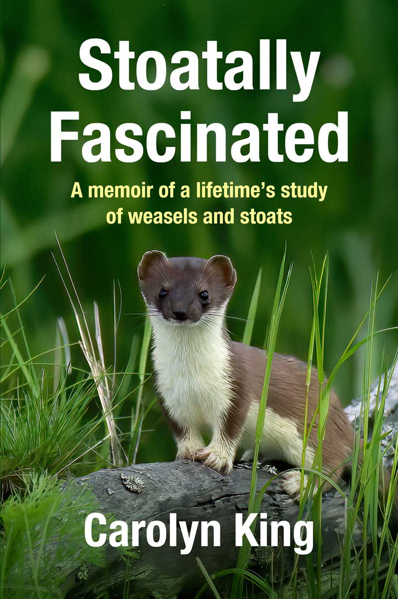 Stoatally Fascinated